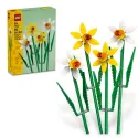 Daffodils Celebration Gift (216-Piece)