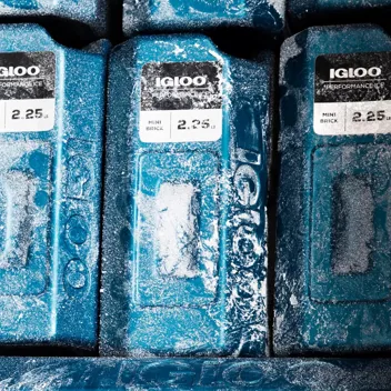 Igloo MaxCold Small Ice Freeze Block (Blue)