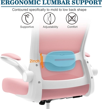 Mimoglad Ergonomic Office Chair w/ Adjustable Lumbar Support and Headrest