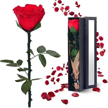 Yampp Preservered Rose with Storage Case