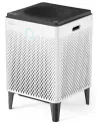 Airmega 400 True HEPA Air Purifier (1560 sq ft)