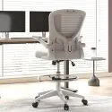 Flexispot TC1 & Tall Mesh Back Office Drafting Chair