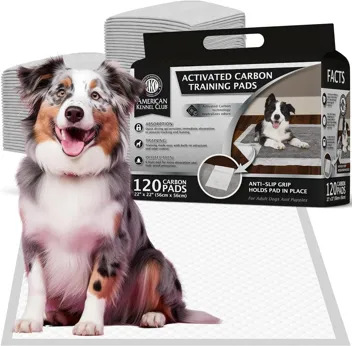 Ultra Absorbent Odor Control Training Pads For Dogs