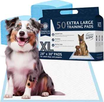 Ultra Absorbent Odor Control Training Pads For Dogs