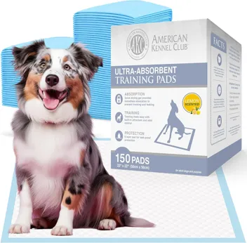 Ultra Absorbent Odor Control Training Pads For Dogs