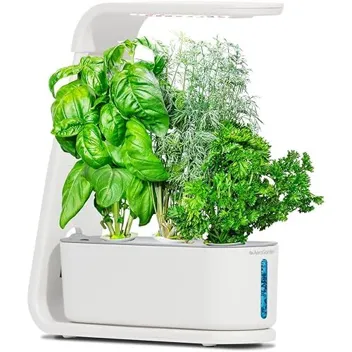 Sprout with Gourmet Herbs Seed Pod Kit