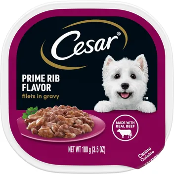 CESAR Wet Dog Food