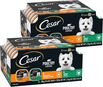 CESAR Wet Dog Food