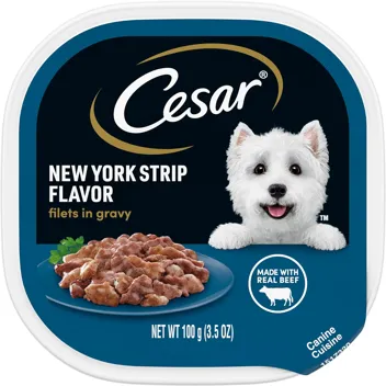 CESAR Wet Dog Food