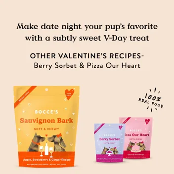 Bocce's Bakery Sauvignon Bark Treats for Dogs