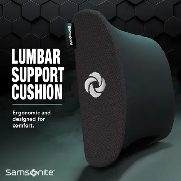 Memory Foam 3D Mesh Lumbar Support Pillow