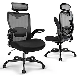 ErGear Ergonomic Office Chair with 2'' Adjustable Lumbar Support, Headrest & Flip-Up Armrests