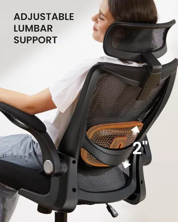 ErGear Ergonomic Office Chair with 2'' Adjustable Lumbar Support, Headrest & Flip-Up Armrests