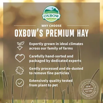 Oxbow Animal Health Oxbow Hay Blends