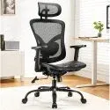 Ergonomic Mesh Lumbar Support Office Chair with Headrest