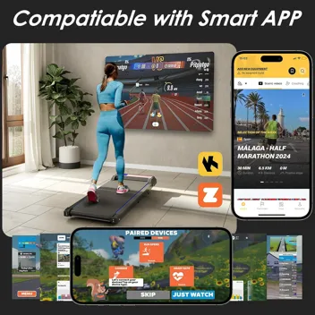 3 in 1 Treadmill