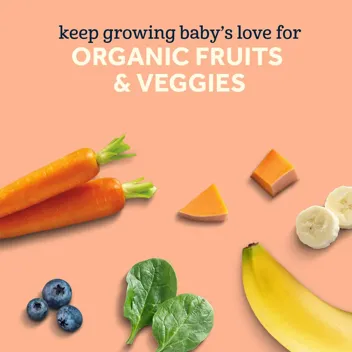 Organic Baby Food Pouches