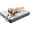 Orthopedic 35.0"x22.0"x3.0" Dog Bed for Large Dogs