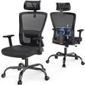 Noblewell Adjustable Lumbar Support Ergonomic Office Chair with Headrest