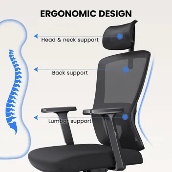 Noblewell Adjustable Lumbar Support Ergonomic Office Chair with Headrest