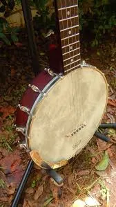 Dirty 30s Open-Back Tone Ring Banjo