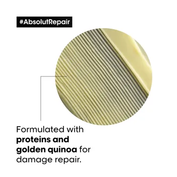 Professionnel Absolut Repair Golden Mask, 8.5 Fl. Oz