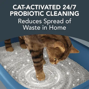 Boxiecat 28lb Ultra Clean Clumping Cat Litter