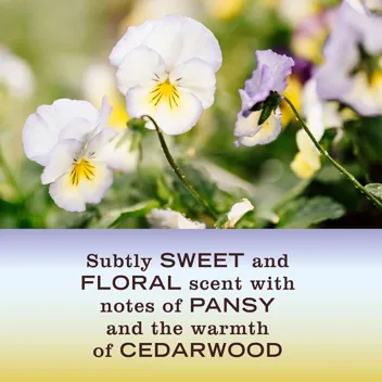 Mrs. Meyer's Clean Day 16oz All-Purpose Cleaner Spray