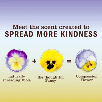 Mrs. Meyer's Clean Day 16oz All-Purpose Cleaner Spray