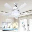 Eonini 15.75" Adjustable Light Small Screw-in Socket Ceiling Fan Light