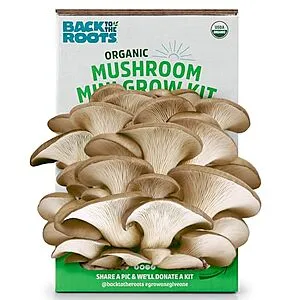 Organic Mini Oyster Mushroom Grow Kit