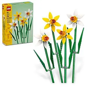 Daffodils (40747)