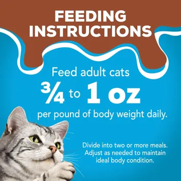 Friskies 5.5oz Gravy Wet Cat Food, Poultry Shreds