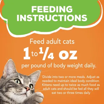 Friskies 5.5oz Gravy Wet Cat Food, Poultry Shreds