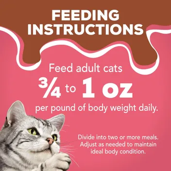 Friskies 5.5oz Gravy Wet Cat Food, Poultry Shreds