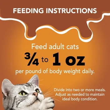 Friskies 5.5oz Gravy Wet Cat Food, Poultry Shreds