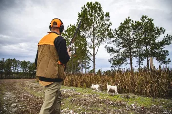 Razor Slim Passive Earmuff