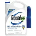 1-Gallon Ready-To-Use Weed & Grass Killer III with Sprayer