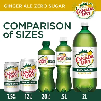 12oz Ginger Ale Soda Cans