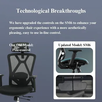 SM6 Adjustable Lumbar Ergonomic Office Chair with Headrest