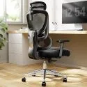 Marsail Ergonomic Office Chair Desk Chair w/ Adjustable Lumbar Support