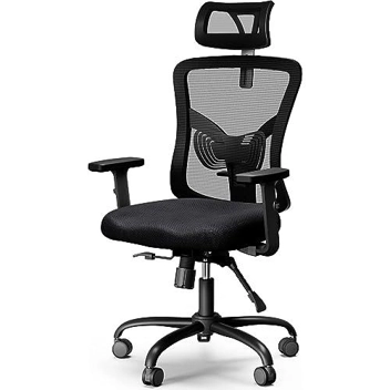 Noblewell NWOC1 Ergonomic Office Chair w/ Lumbar Support