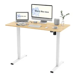 FlexiSpot Whole-Piece Electric Height Adjustable Standing Desk Home Office Desk 48x24