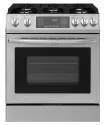 Insignia 4.8cu ft Self-Clean Air Fry Gas Convection Range (Stainless Steel)