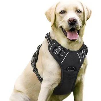 Rabitgoo Large No-Pull Dog Harness with 2x Leash Clips