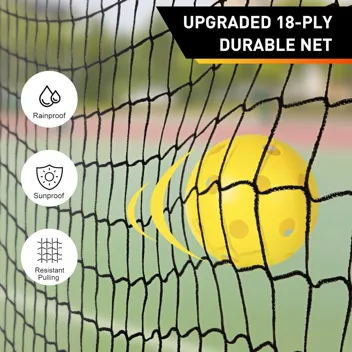 Enerface USAPA Approved Pickleball Paddle with Ball