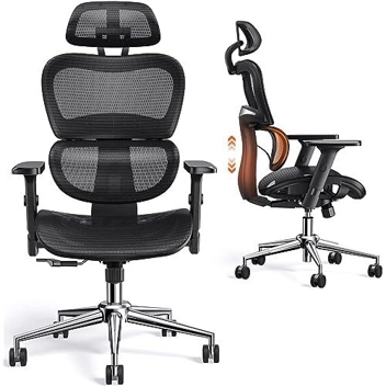 ErGear Ergonomic Office Chair w/ Lumbar Support, Headrest, 3D Adjustable Arms