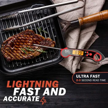 Instant Digital Meat Thermometer