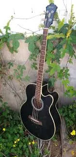 AEB5E Acoustic-Electric Bass Guitar Black