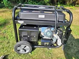 12,000W Dual Fuel Portable Generator with Electric Start